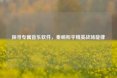 探寻专属音乐软件，奏响和平精英战场旋律