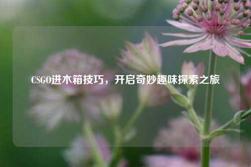 CSGO进木箱技巧，开启奇妙趣味探索之旅