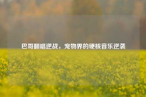巴哥翻唱逆战，宠物界的硬核音乐逆袭