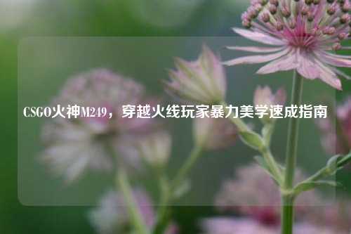 CSGO火神M249，穿越火线玩家暴力美学速成指南