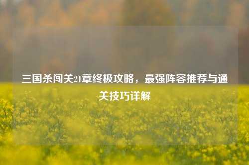 三国杀闯关21章终极攻略，最强阵容推荐与通关技巧详解