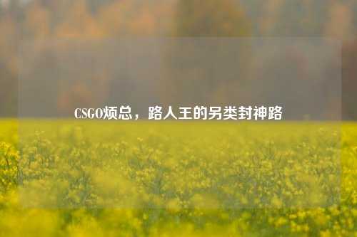 CSGO烦总,路人王的另类封神路