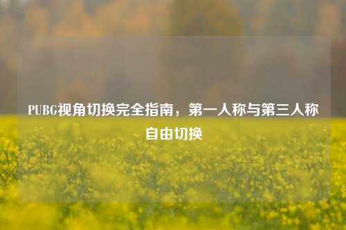 PUBG视角切换完全指南，之一人称与第三人称自由切换