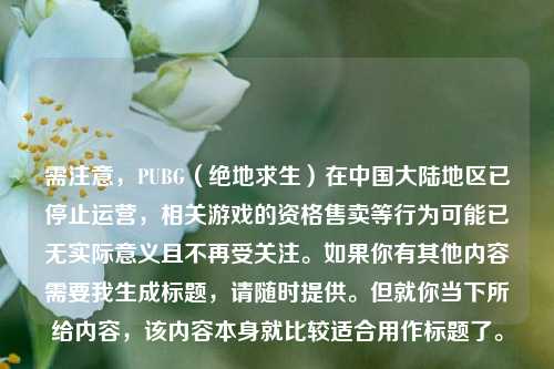 需注意,PUBG(绝地求生)在中国大陆地区已停止运营,相关游戏的资格售卖等行为可能已无实际意义且不再受关注。如果你有其他内容需要我生成标题,请随时提供。但就你当下所给内容,该内容本身就比较适合用作标题了。