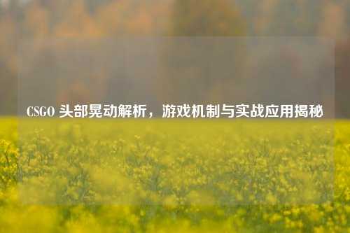 CSGO 头部晃动解析，游戏机制与实战应用揭秘