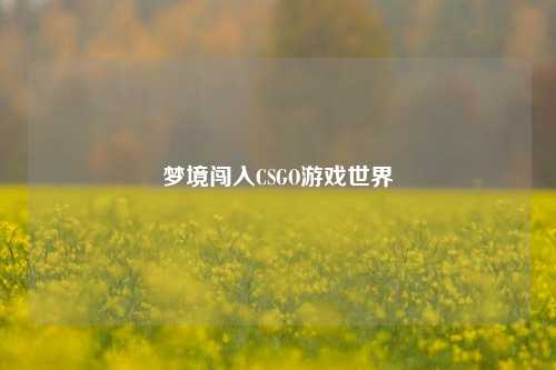 梦境闯入CSGO游戏世界