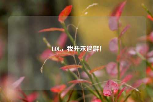 LOL，我并未退游！