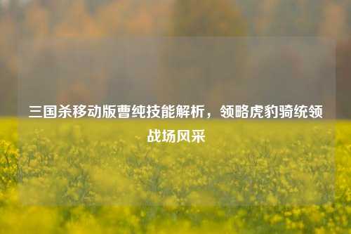 三国杀移动版曹纯技能解析，领略虎豹骑统领战场风采