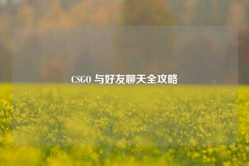 CSGO 与好友聊天全攻略