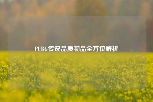 PUBG传说品质物品全方位解析