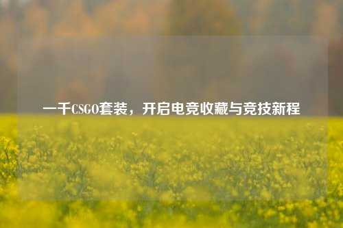 一千CSGO套装，开启电竞收藏与竞技新程