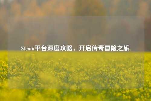 Steam平台深度攻略，开启传奇冒险之旅