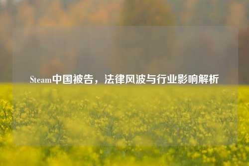 Steam中国被告,法律风波与行业影响解析