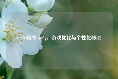 CSGO指令config，游戏优化与个性化秘诀