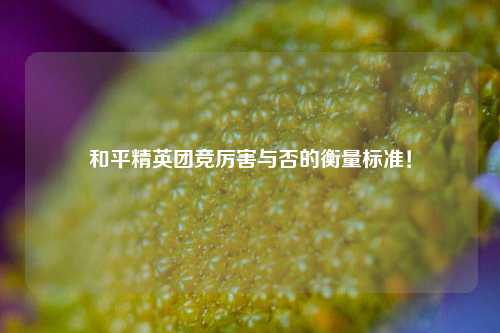 和平精英团竞厉害与否的衡量标准!