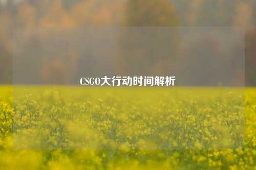 CSGO大行动时间解析