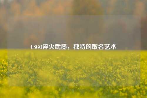 CSGO淬火武器，独特的取名艺术
