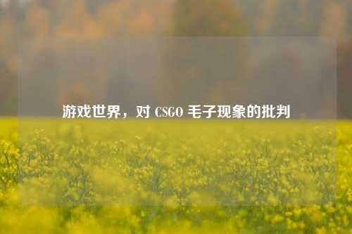 游戏世界，对 CSGO 毛子现象的批判