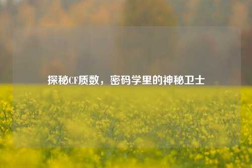 探秘CF质数，密码学里的神秘卫士