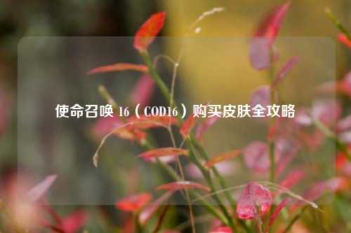 使命召唤 16（COD16）购买皮肤全攻略