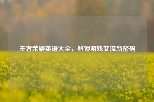 王者荣耀英语大全，解锁游戏交流新密码