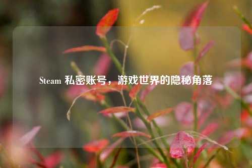 Steam 私密账号，游戏世界的隐秘角落