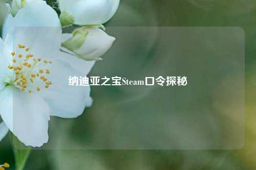 纳迪亚之宝Steam口令探秘
