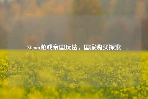 Steam游戏帝国玩法,国家购买探索