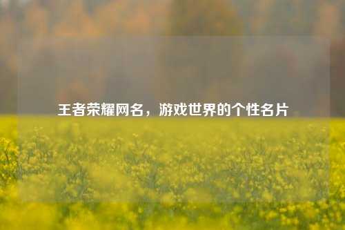 王者荣耀网名，游戏世界的个性名片
