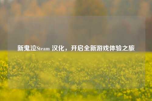 新鬼泣Steam 汉化，开启全新游戏体验之旅