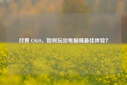付费 CSGO，如何玩出电脑端更佳体验？