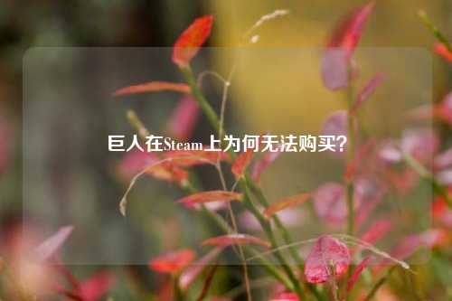 巨人在Steam上为何无法购买？