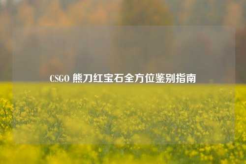 CSGO 熊刀红宝石全方位鉴别指南