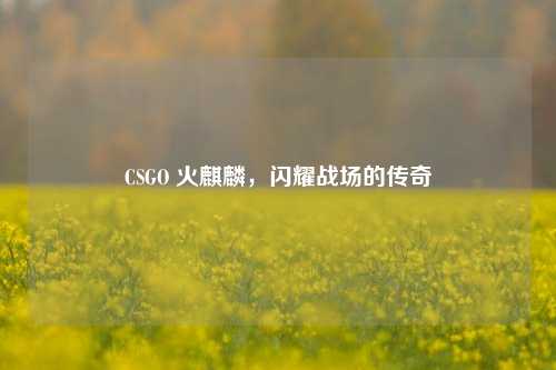 CSGO 火麒麟，闪耀战场的传奇