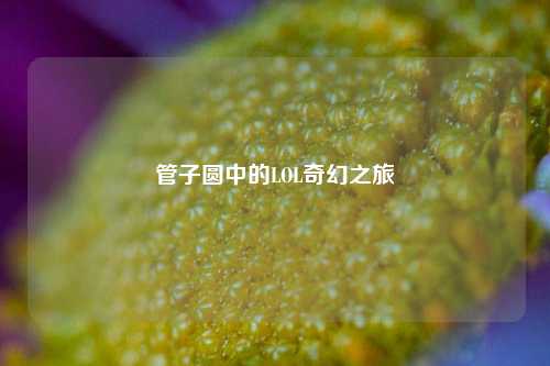 管子圆中的LOL奇幻之旅