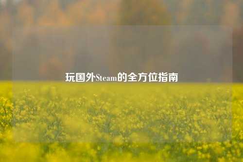玩国外Steam的全方位指南