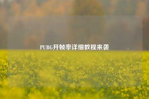 PUBG开帧率详细教程来袭