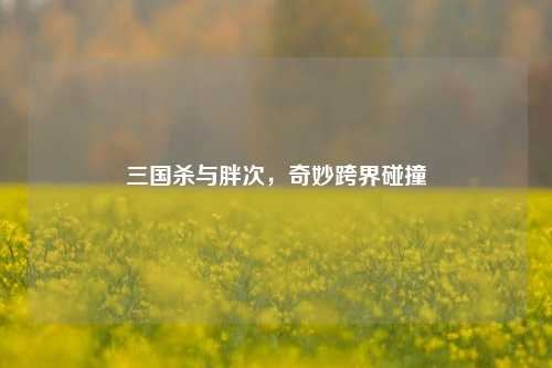 三国杀与胖次，奇妙跨界碰撞