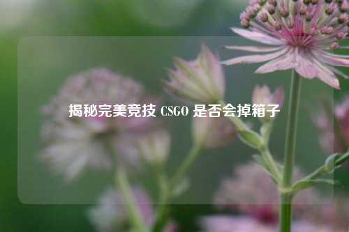 揭秘完美竞技 CSGO 是否会掉箱子