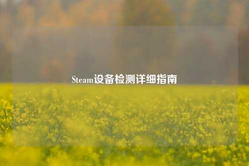 Steam设备检测详细指南