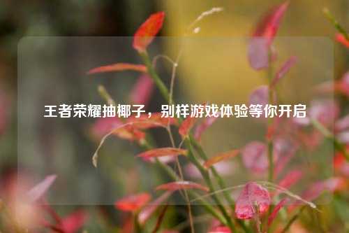 王者荣耀抽椰子，别样游戏体验等你开启