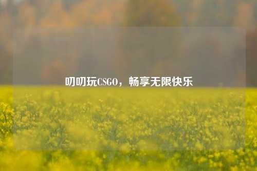 叨叨玩CSGO，畅享无限快乐