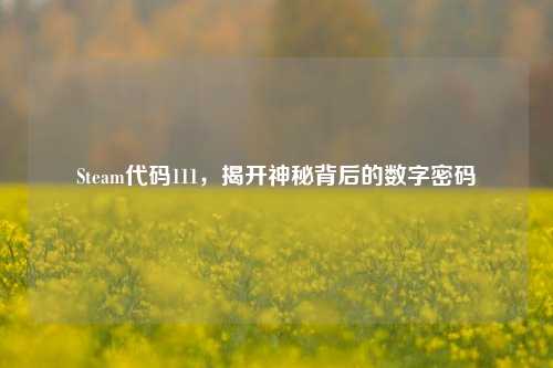 Steam代码111，揭开神秘背后的数字密码
