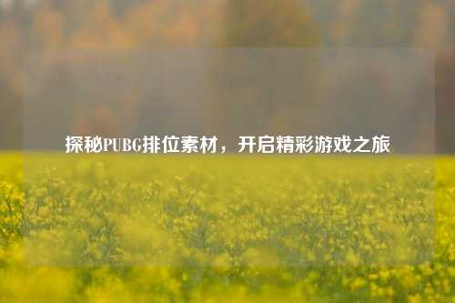 探秘PUBG排位素材，开启精彩游戏之旅