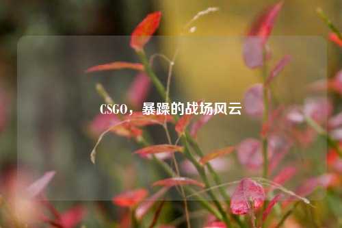CSGO，暴躁的战场风云