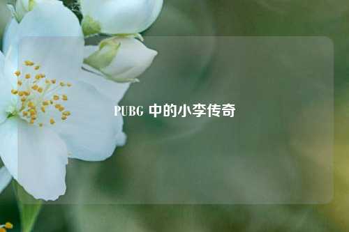 PUBG 中的小李传奇