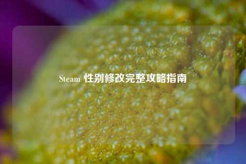 Steam 性别修改完整攻略指南