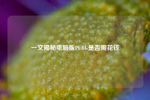 一文揭秘电脑版PUBG是否需花钱