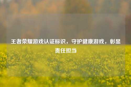 王者荣耀游戏认证标识,守护健康游戏,彰显责任担当
