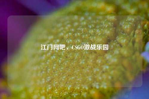 江门网吧，CSGO激战乐园